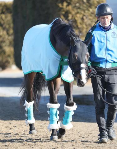 【注目馬動向】ドゥラエレーデは松山弘平騎手との新コンビでエルムSを予定　葵S制覇のアブキールベイは北九州記念へ