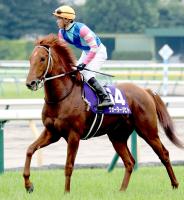  ��������ư�������ϡ۰��ĵ�ǰ��9��Υ�����������ҥȤ������ǰ����ɸ��Ĵ����