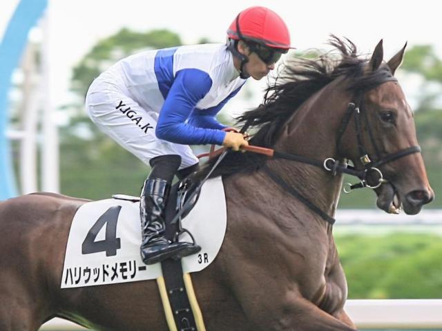 全兄はG1・2勝のダノンスマッシュ ハリウッドメモリーが連勝なるか