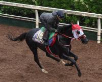  【宝塚記念】リビアングラス　坂路単走4F53秒3　陣営満足げ「いい頃の雰囲気に戻ってきた」