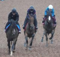  ͵ǰۥ쥬쥤Ϥʤǲ®饹1F112¼Ǽͽ̤Ω줿