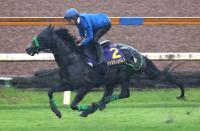  【宝塚記念】ジャスティンパレス　芝単走で軽快　杉山晴師「状態は上がっている」