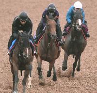  ͵ǰۥ쥬쥤顡Ͽưס⤵ǣϡ¼աͽ̤ΩƤ