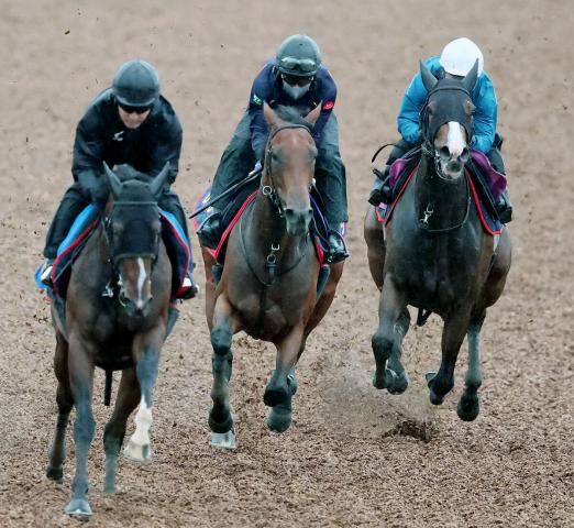 【宝塚記念】昨年の有馬記念優勝後に骨折判明…レガレイラ復帰戦での不安を拭い去るに十分な走りを披露