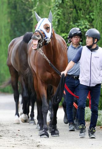 【宝塚記念】武豊騎手騎乗の逃げ馬メイショウタバルは6枠12番　石橋調教師「乗り役の判断に任せる」