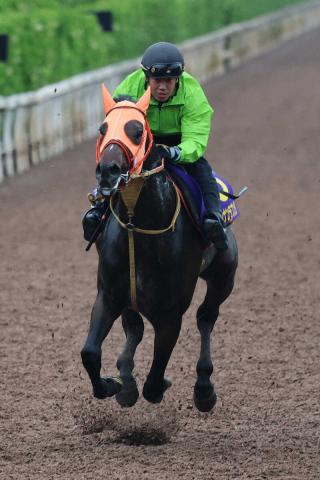 【宝塚記念】(16)ショウナンラプンタ　幸に託す!高野師「一発があるとすれば今回の距離がいい」