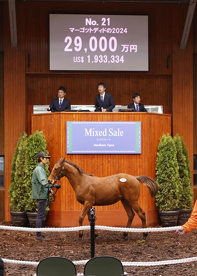 ノーザンファームがミックスセールの上場馬を一部発表 ダービー馬レイデオロの半弟など良血馬ズラリ