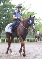  【宝塚記念】アーバンシック　菊花賞以来の関西輸送も問題なし　武井師「今回も気にしていない」