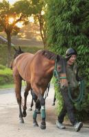  �����͵�ǰ�ۥ٥饸�����ڥ�������λž夲����¼Ĵ���ա֤��뤳�ȤϤ��ޤ�����