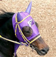  【函館スプリントS】コースレコード決着が…ペアポルックス5着で松若風馬騎手「時計が速く、枠の差が出た」