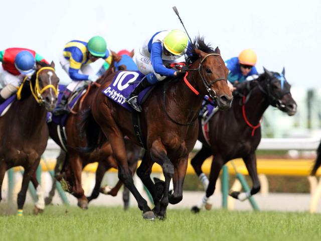 ロードカナロア産駒がJRA通算1200勝達成！ JRA史上14頭目