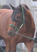  �����͵�ǰ��(1)�٥饸�����ڥ顡�乥�λž夬�ꡡ��¼�ա֤��뤳�ȤϤ�ä���