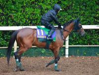  �����͵�ǰ�ۥ٥饸�����ڥ顡�Ͼ찭��������ʤ������ȣ��֤˾�¼�ա����Ͼ�ʤ��乥���ȡʾСˤǤ⾮�ٹ���ɬ�פʤ��Ǥ��͡�