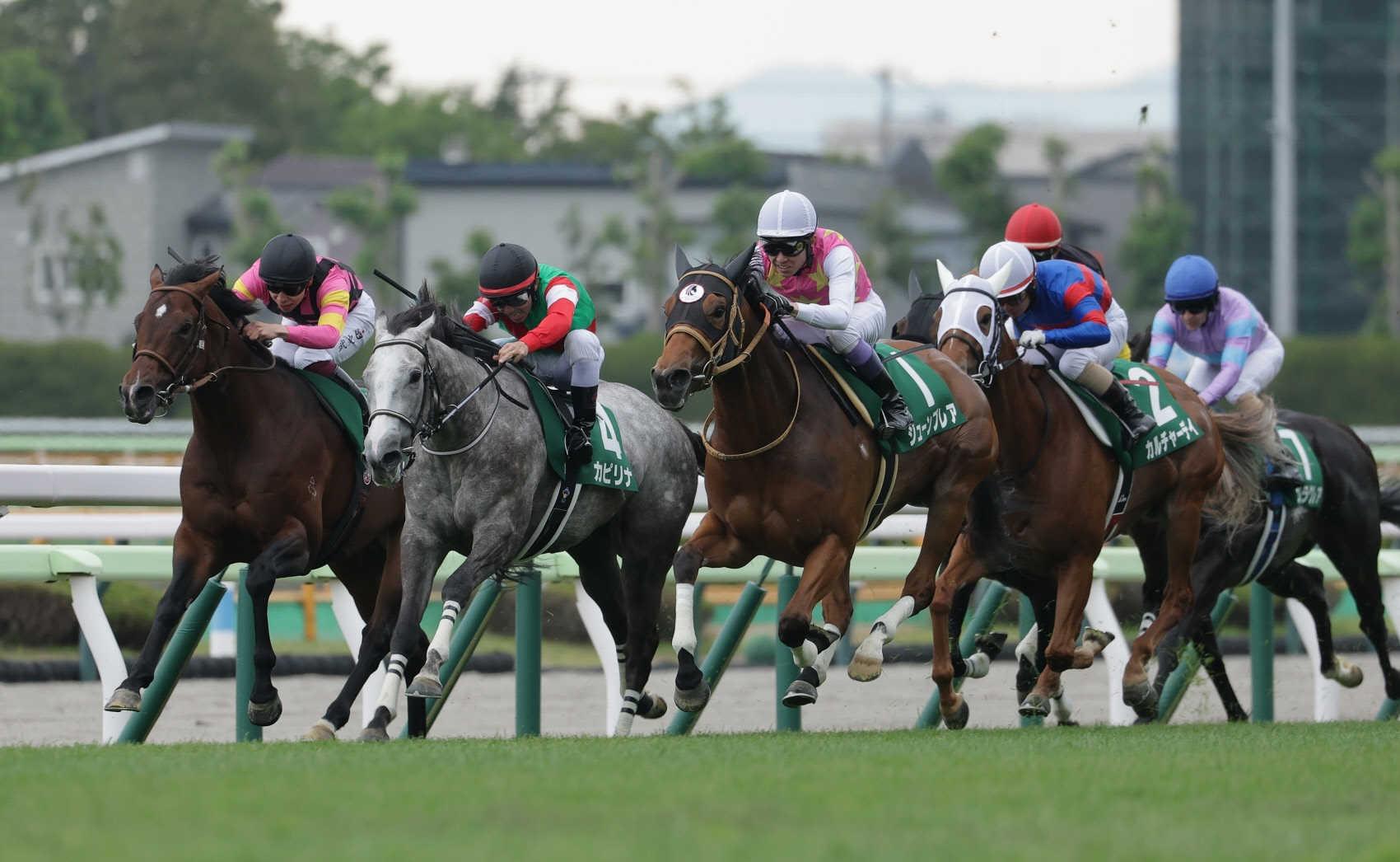 【函館スプリントＳ】カピリナが重賞初Ｖ　コースレコード１分６秒６　戸崎圭＆田島師も師弟コンビでの会心勝利に歓喜