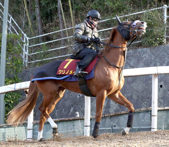 【関東オークス】ダート初挑戦のJRAクリノメイは3枠4番　東京プリンセス賞Vのベルグラシアスは5枠8番　枠順確定