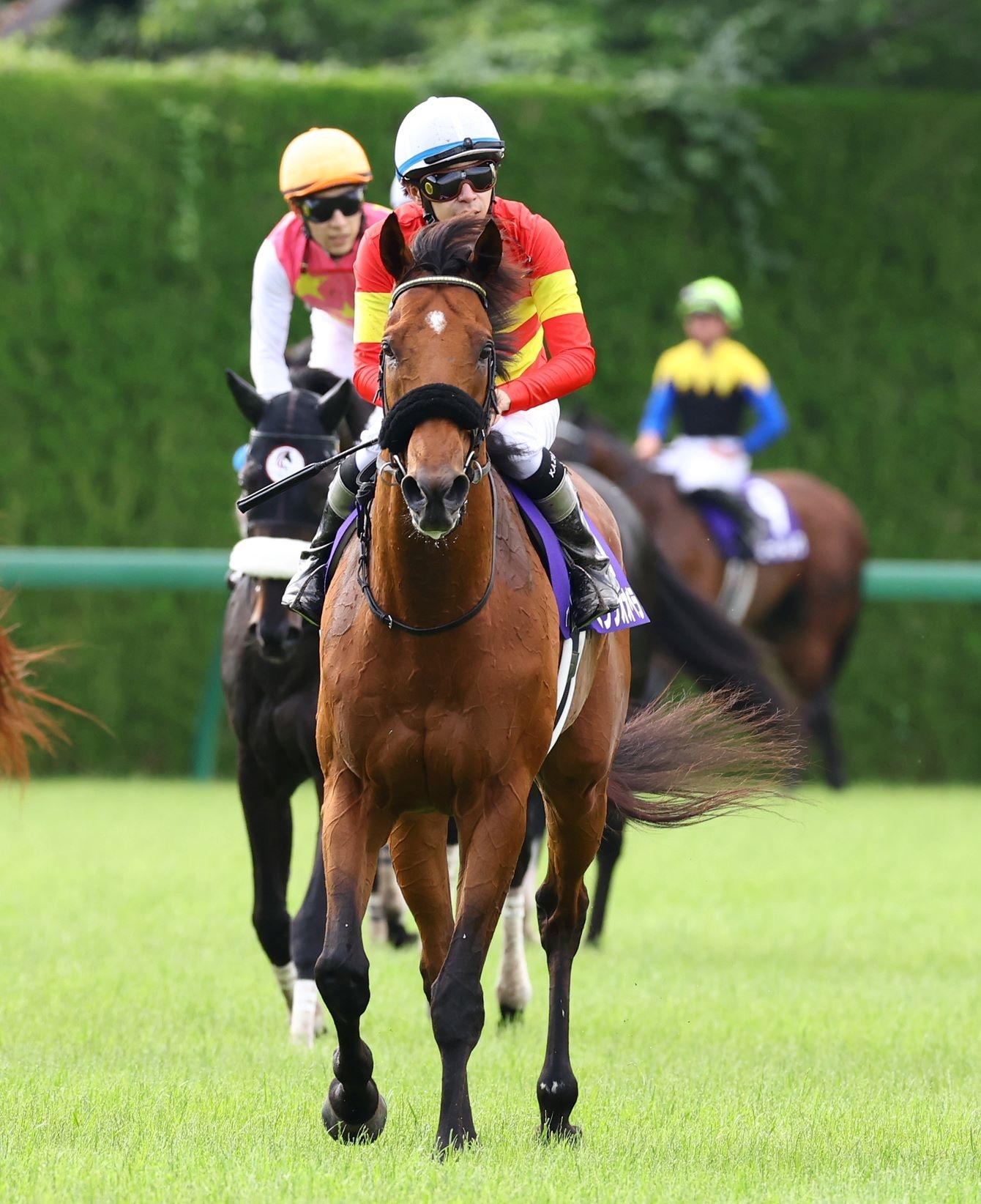 【宝塚記念１番人気の敗因】ベラジオオペラが３馬身差の２着の敗れた原因は…