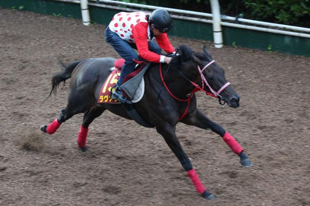 【府中牝馬S展望】格上挑戦でも近走光るラヴァンダが中心　セキトバイーストも重賞初Vへ勢い十分