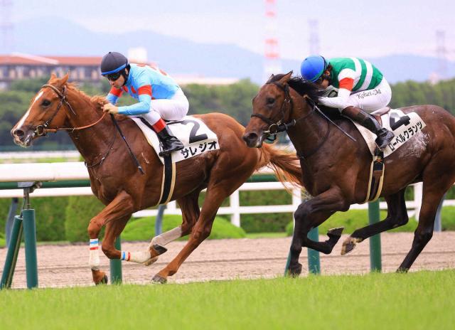 【阪神新馬戦】サレジオ　早め先頭初陣V　ルメール「いい脚を使ってくれた」