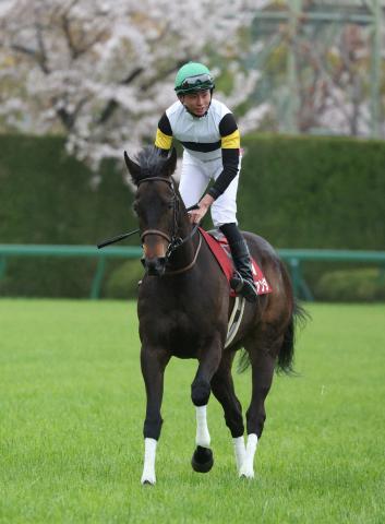 【府中牝馬S】ラヴァンダ　重賞初Vだ!　東京ならコース替わり不安なし