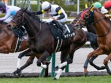  【府中牝馬S展望】大幅な条件替わりも4歳馬ラヴァンダを狙う