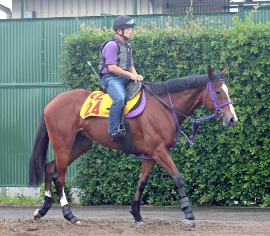 【注目馬動向】函館スプリントS9着のモリノドリームは青函Sへ　同13着のレイベリングは朱鷺Sへ