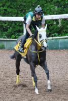  【府中牝馬S】ウインエーデルがCWコースで追い切る　吉田調教師「準備万端ですよ」4走前Vの舞台で重賞挑戦