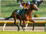  【しらさぎS予想オッズ】チェルヴィニアが予想1番人気