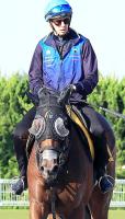  【府中牝馬S】短期免許最終週のディー騎手「能力が高いのは分かっています」ミアネーロで有終の美飾る