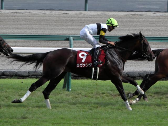 【府中牝馬S予想】マーメイドSを引継いだ新たな「府中牝馬S」 東京芝1800mはスローペースからの瞬発力勝負になりやすい舞台