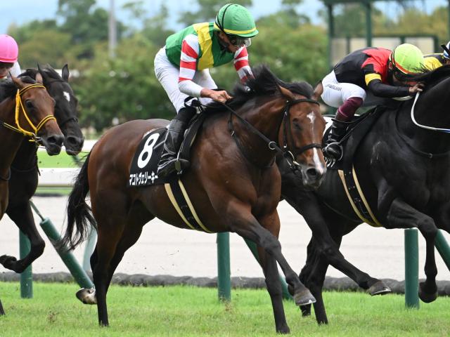 ハンデ重賞の函館記念とラジオNIKKEI賞/今週の競馬界の見どころ