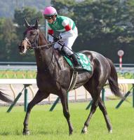  【府中牝馬S】格上挑戦ながら1番人気のカニキュルは8着　戸崎圭太騎手「内を回ってくればよかった感じ」