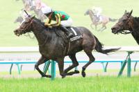  ��ȡ�۵�ǰ�������������ϡ������ǥ����ץ�����̤�������ǯ�Υ�������5���Ϥ˴��ԡ����ʤ������ʤ����괶������