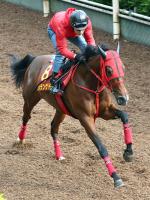  ��������ư���ۥ������ȥꥢ�ޥ���3��Υ���󥱥ɤϿ��㵭ǰ�ء����ĵ�ǰ7��Υ�����������Ĥ������ǰ�����