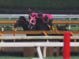  ラムジェット、帝王賞追い切り速報/栗東トレセンニュース