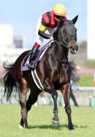  ڸϡư۹⾾ܵǰ5Υե󥵡G1Ƥץ󥿡Sɸ