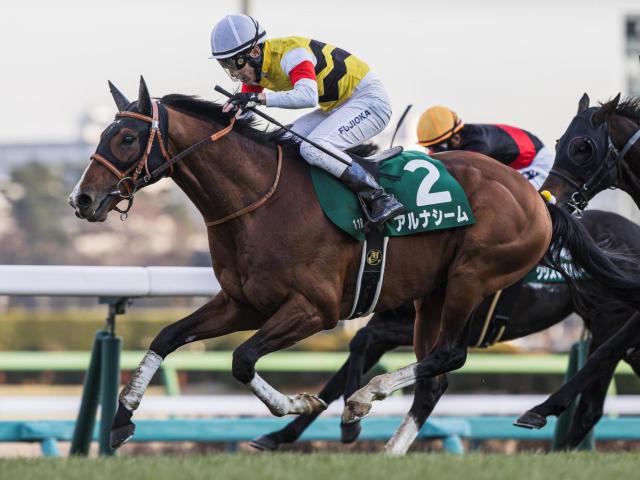 【函館記念】3年ぶりに重賞ウイナーの戴冠なるか アルナシームが負けられない一戦だ