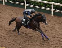  【ラジオNIKKEI賞】バズアップビート　躍動感ある動き　友道師「しまいを生かす競馬が合っている」