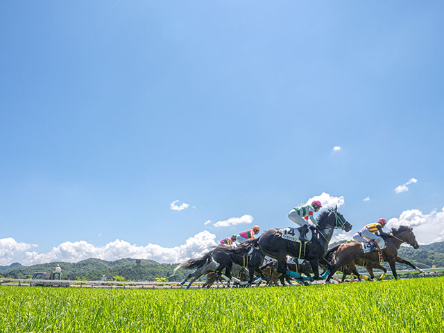 Disco Partner産駒がJRA初出走 メーゼがデビュー勝ち狙う