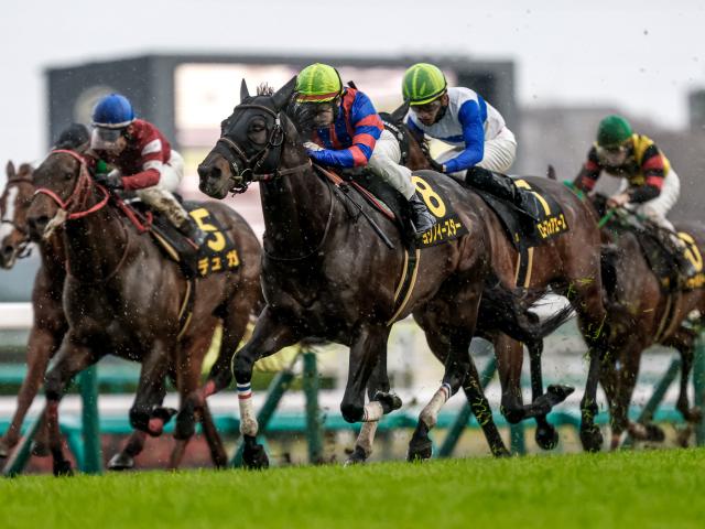 【北九州記念想定馬・騎手】ヨシノイースター、アブキールベイなど21頭