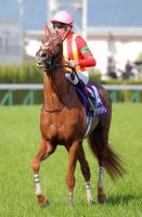  ��������ư����ŷ�ľޡ���2��Υӥ������ɥ꡼�ब������ޤء�������ϥե����ޤ�ͽ��