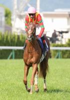  �ӥ������ɥ꡼��ⳮ����ޤ�ĩ������ӡ��ϥ�����ǥ�Ρ����³���ơ�̾����