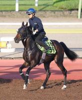  ��ʡ�翷����ۥ���󥫡���̾��Ѥ�����!��ϥ��������ϥ���ϥ饤��