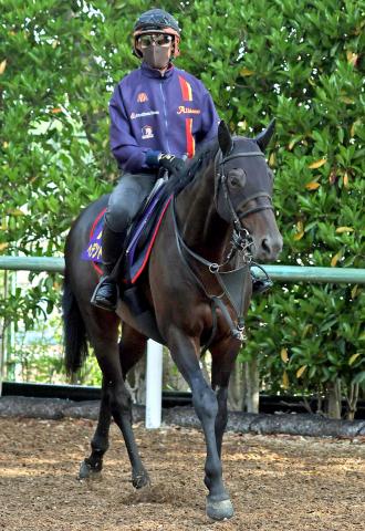 ジャパンカップ(G1)まとめ】2022年11月27日に東京競馬場で開催