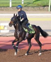  ��ʡ�翷����ۥ���󥫡���̾��Ѥ�����!��ϥ��������ϥ���ϥ饤��