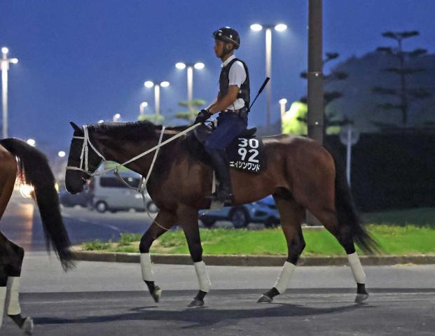 【北九州記念】エイシンワンド　休養効果手応え　陣営「精神的にも大人になってきた」