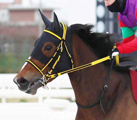 【スパーキングLC】重賞2連勝中のテンカジョウは8枠9番　しらさぎ賞圧勝フェブランシェは7枠7番　枠順確定