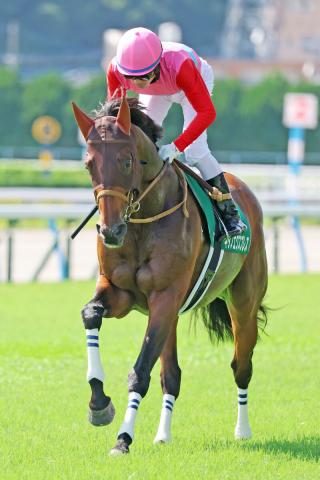 【北九州記念】3番人気キタノエクスプレスが5着　最速タイの末脚も国分優作騎手「最後は脚いろが一緒になって…」