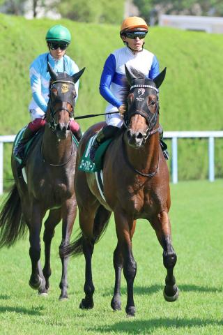 【北九州記念】9着のロードフォアエースは10戦ぶりの連対圏外　川田将雅騎手「今日できる精いっぱいの走り…」