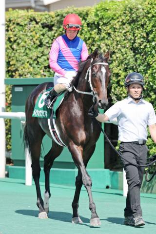 【北九州記念】メイショウソラフネは伸び欠いて13着　酒井学騎手「スペースができても反応がなかった」