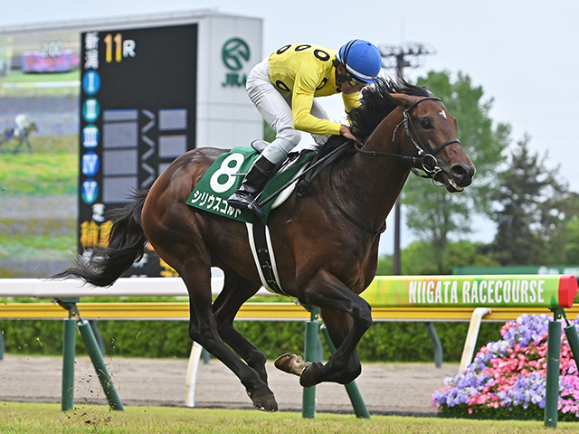 福島で伝統のハンデ重賞・七夕賞/今週の競馬界の見どころ